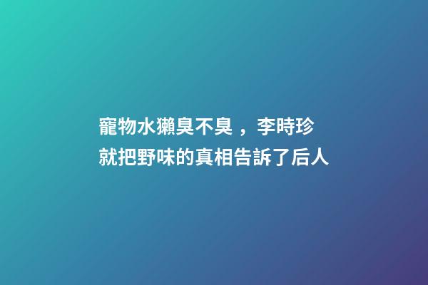 寵物水獺臭不臭，李時珍就把野味的真相告訴了后人-第1張-觀點-玄機派